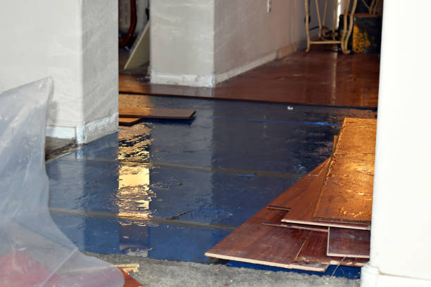 Professional Burst Pipe Cleanup technician working in Von Ormy, TX